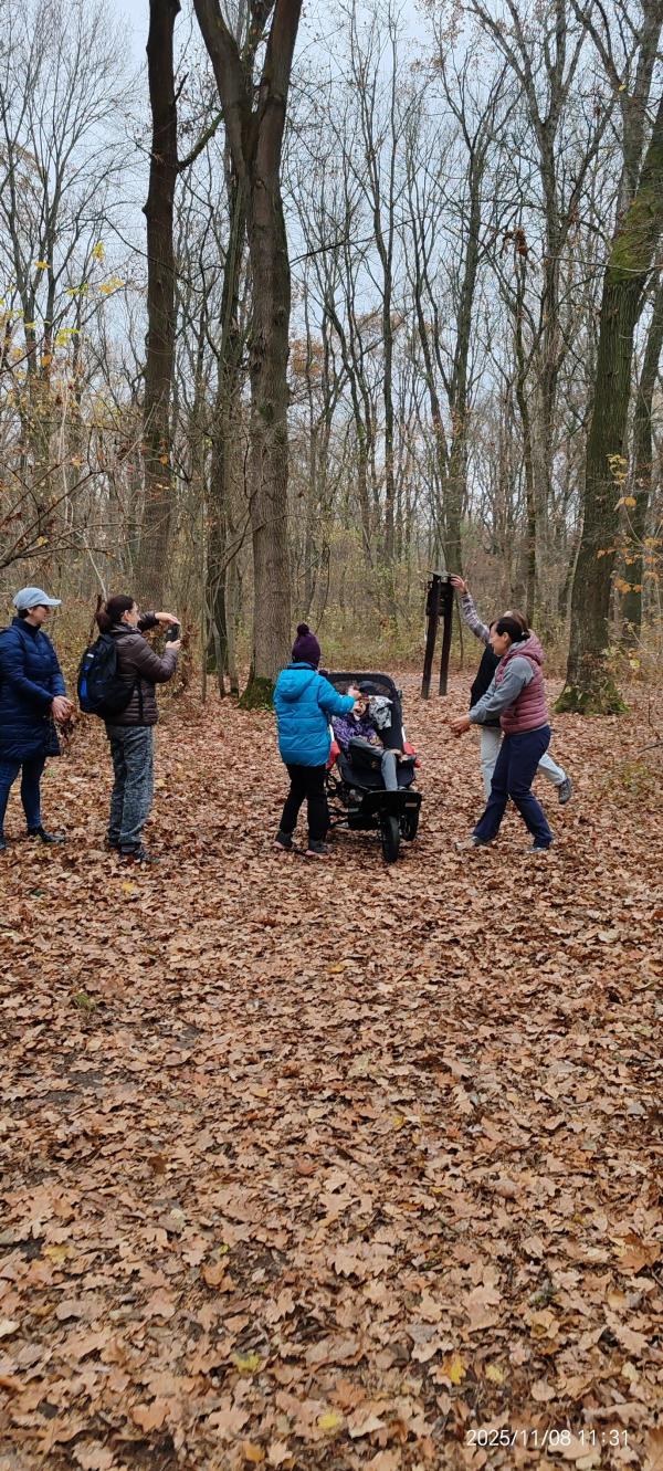 Miért fejleszt különösen hatékonyan egy erdei gyerektábor?