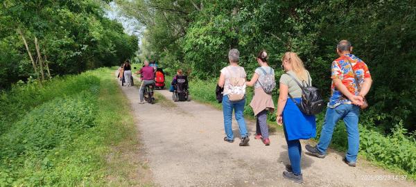 Miért különösen hasznos az erdőfürdő időseknek és demenciával élőknek?